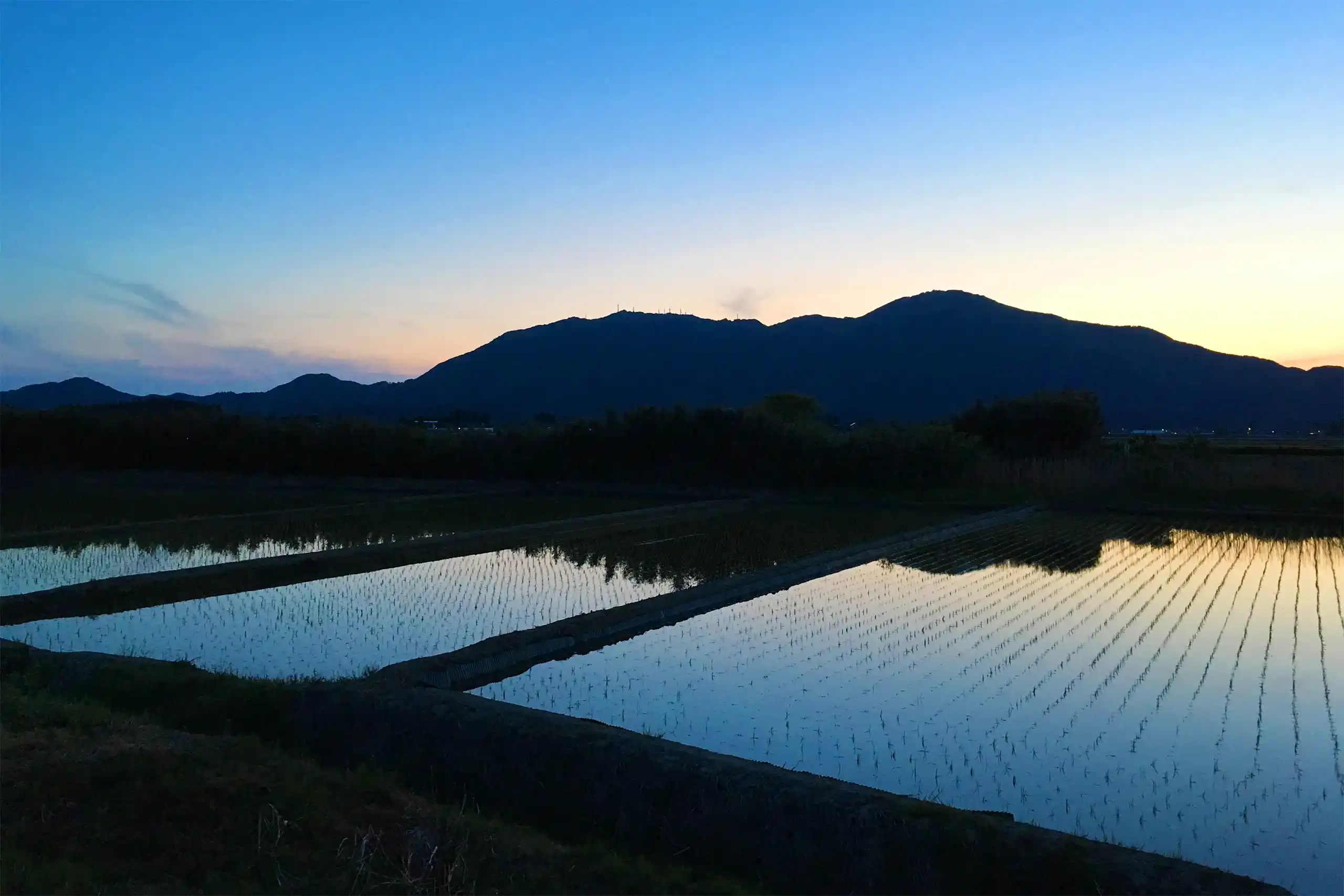 新潟の田んぼのイメージ写真